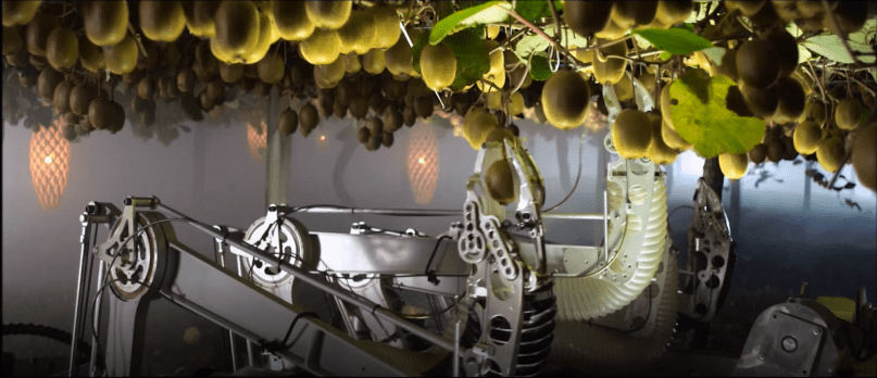 Kiwifruit picking robot